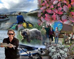 Noatak Collage