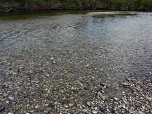 53. Crystal Clear Water