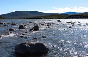 57. Shallows