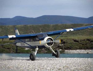 78. Coyote Air Landing