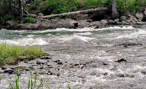 Resurrection Creek